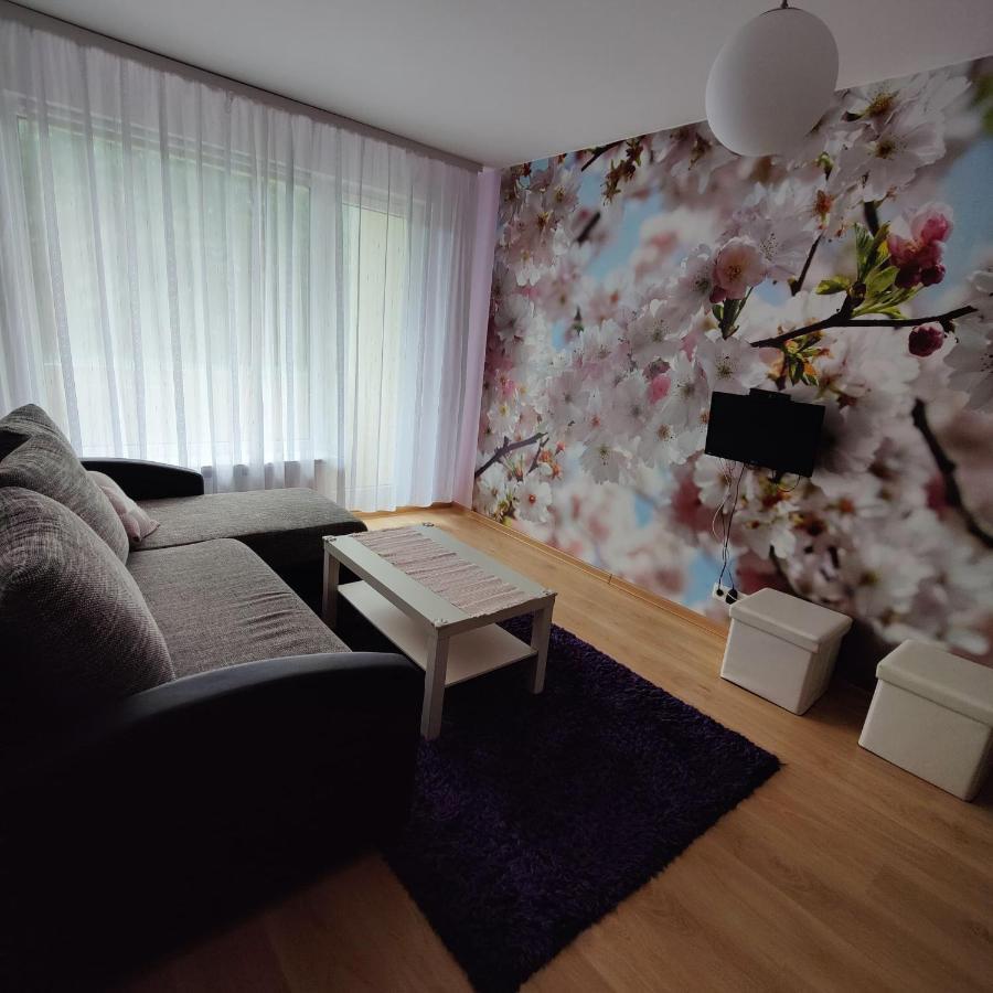 Šiauliai Dainai Apartament מראה חיצוני תמונה